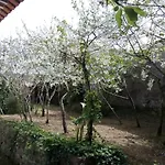 Casas Altas Obidos - Al *
