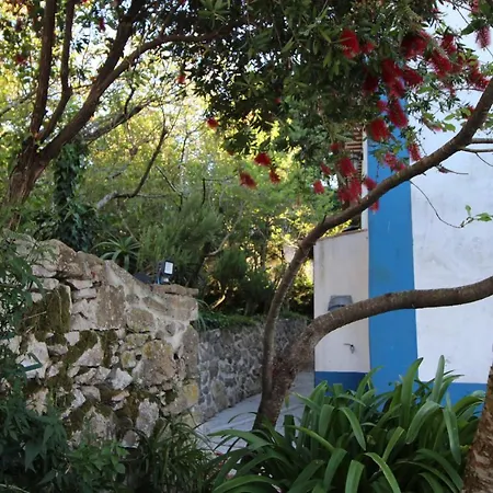 Casas Altas Obidos - Al Feriehus *