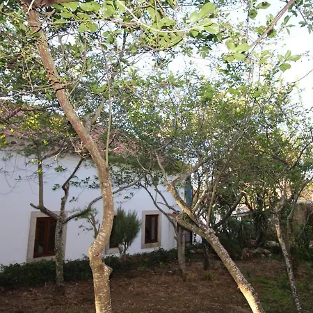 Casas Altas Obidos - Al * Sobral (Leiria)