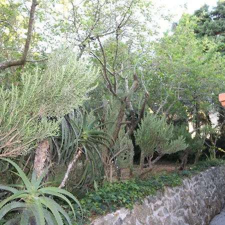 Casas Altas Obidos - Al Feriehus *