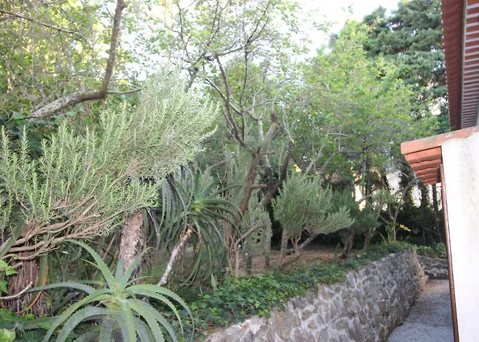 Casas Altas Obidos - Al Semesterbostad *